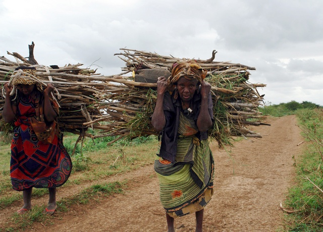 Farmers carry firewood back to their Shanlow village in Middle Shabelle Region